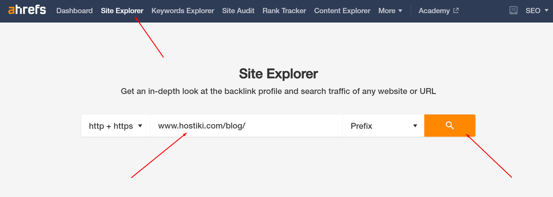 Site Explorer: Rakip Analizi